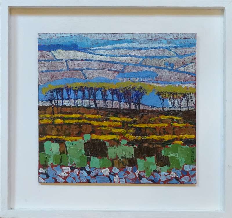 Gorse